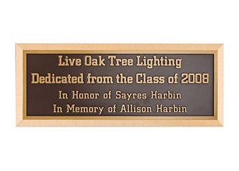 Class of 2008 Tree Lighting Dedcation Plaque